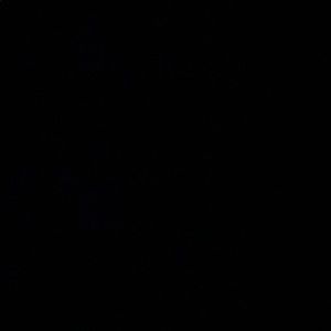 Meet your Posher, Ellison